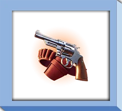 เกมสล็อต Wild Bounty Showdown