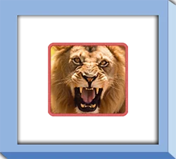 เล่นสล็อต Safari Wilds
